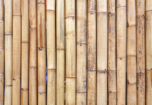 Photo golden bamboo fence background