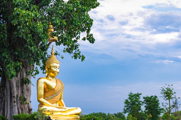 The golden buddha statue.