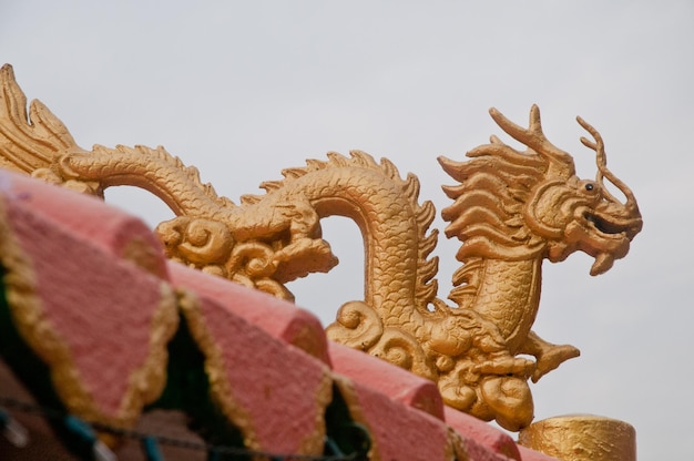 Golden dragon statue in China