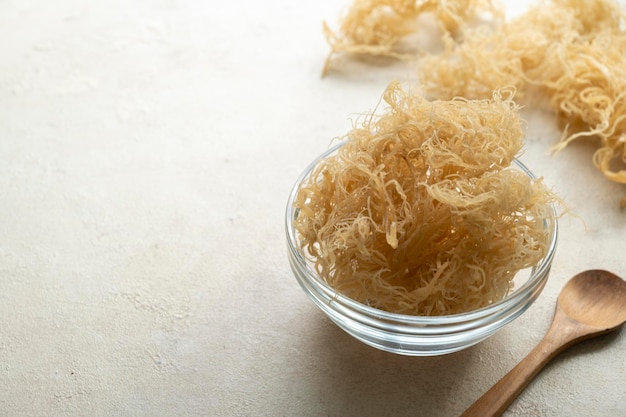 Golden dried Sea Moss healthy food supplement rich in minerals and vitamins used for nutrition and health