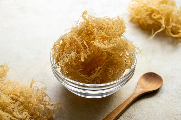 Golden dried Sea Moss healthy food supplement rich in minerals and vitamins used for nutrition and health