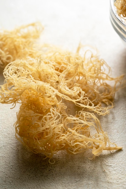 Golden dried Sea Moss healthy food supplement rich in minerals and vitamins used for nutrition and health