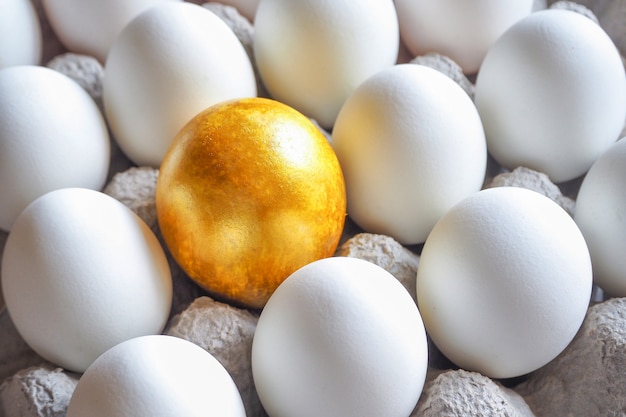 Golden egg among white hen eggs in carton pack.