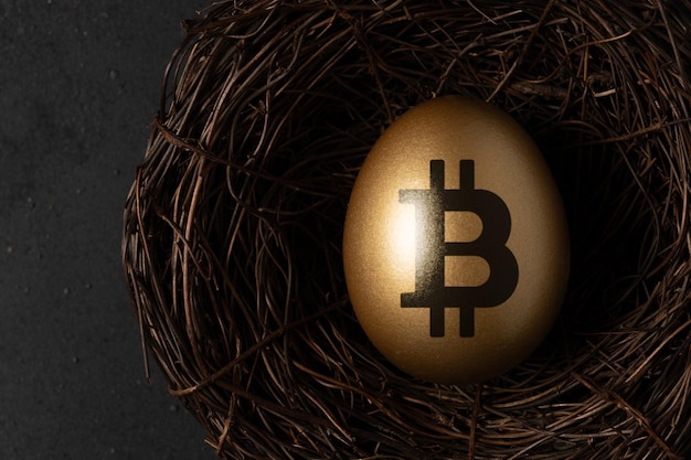 Golden egg with a bitcoin sign in nest on black background Minimal investment concept