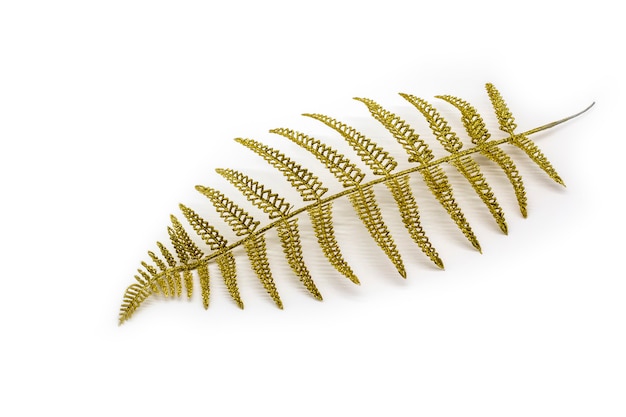 Golden fern leaf, decoration ornamental branch on light background.