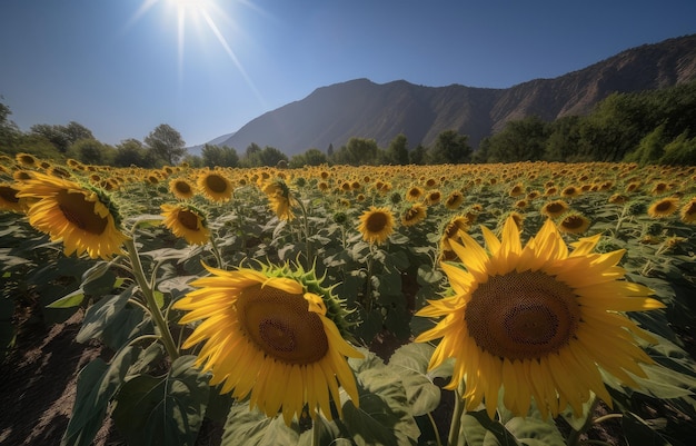 Golden field of sunflowers dancing under the sun generative IA