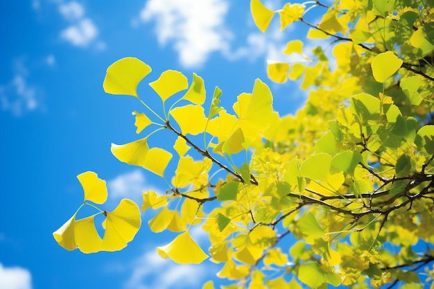 Golden Ginkgo A Radiant Dance with the Sky