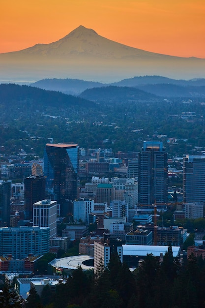 Photo golden hour portland skyline with mount hood from high vantage point