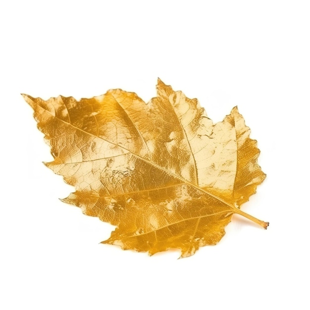 A golden leaf on a white background with the word autumn on it.