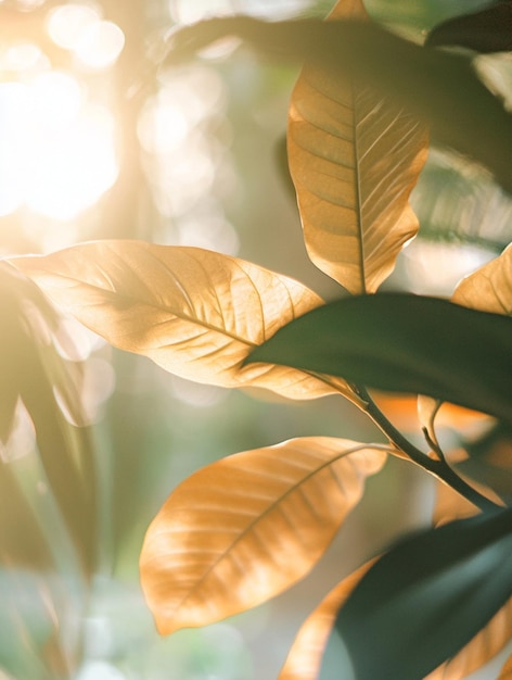 Photo golden leaves in soft sunlight natures serenity and warmth