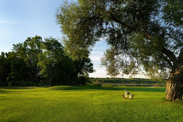 Golden light is seen streaming in early summer Under the big willow there is children's swing horse