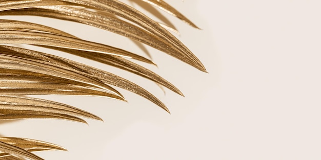 Golden palm leaf close up as trend design background beige monochrome image Smooth