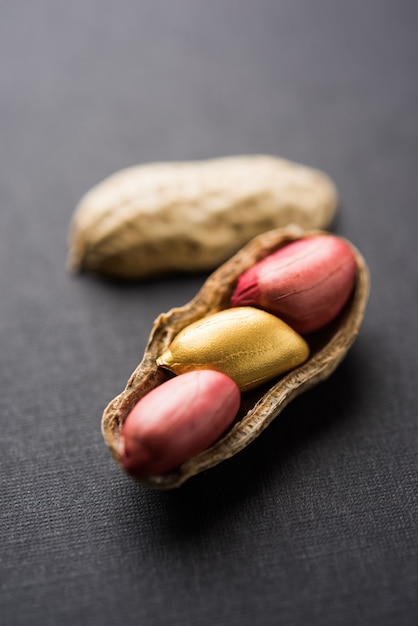 Golden peanut or ground nut showing Concept of Fortune, Individuality, Luck, Value, Exclusivity and Better Choice. Selective focus