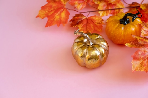 Golden Pumpkin With A Leafs Maple On Pink Background.