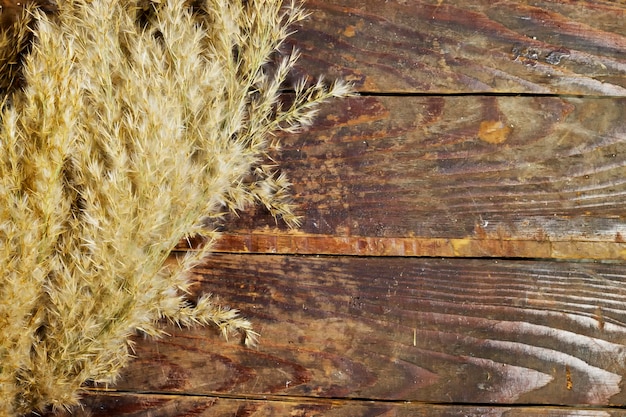 golden reeds on wooden table with copy space