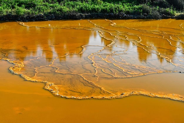 Golden Reflections on the Acidic Waters of Rio Tinto