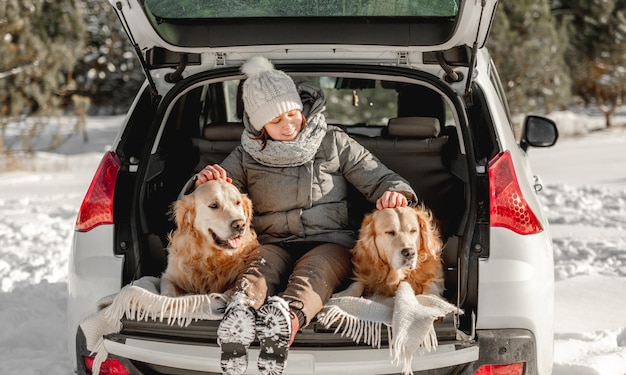 Golden retriever dogs with girl in winter time