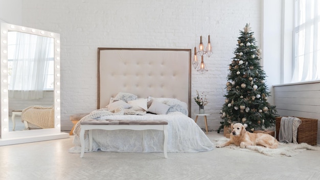 Golden retriever puppy dog in luxurious bright colors classic eclectic bedroom with king-size bed, mirror, Christmas tree with decoration and presents in boxes. Pets friendly  hotel or home room.