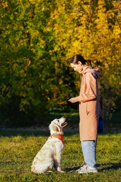 Golden retriever puppy with bandana in park looking up at girl in pink raincoat