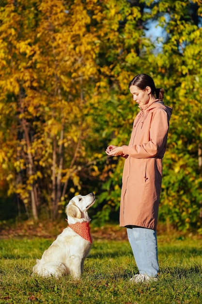 Golden retriever puppy with bandana in park looking up at girl in pink raincoat