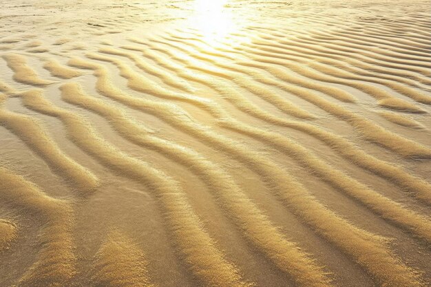 Photo golden sand ripples at sunset