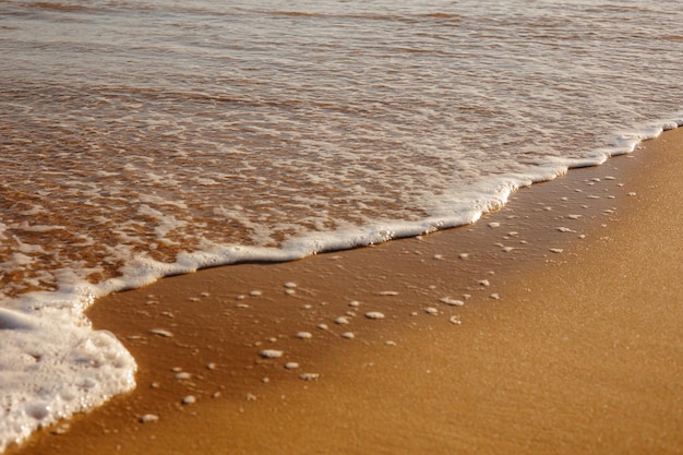 Golden sandy beach with waves