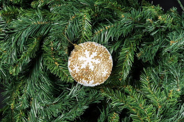 Golden snow Christmas ball isolated on christmas tree branches.