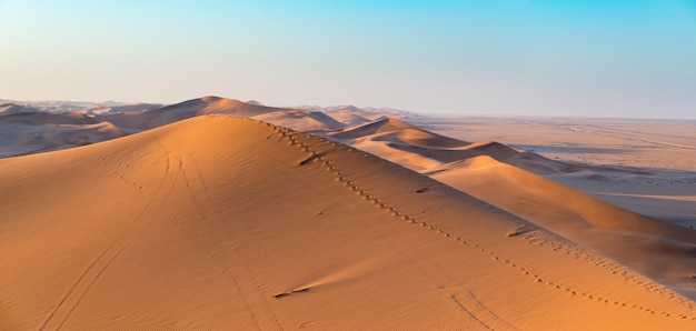 Golden sunlight over ridges and shapes of sand dunes in the majestic Namib Naukluft National Park at Walvisbaai