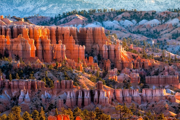 Golden Sunrise at Bryce Canyon