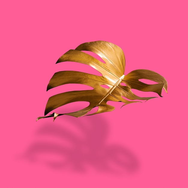 Golden tropical palm leaf Monstera on pastel luxury pink