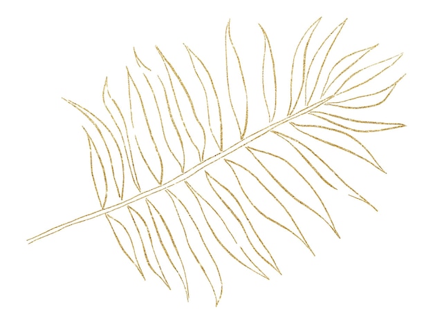 Golden tropical watercolor palm leaf outline illustration