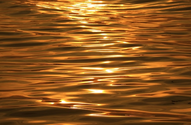 Golden water surface with sunlight reflections