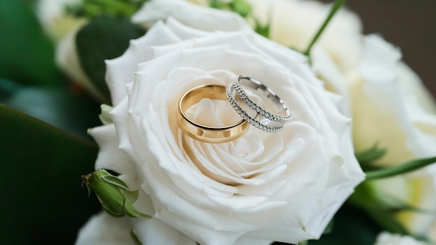 Golden wedding rings on the white rose from the wedding bouquet