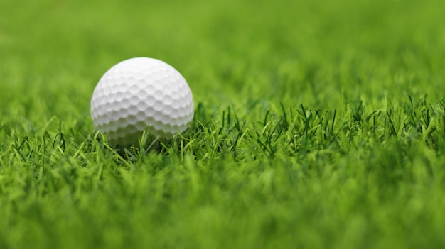 Golf ball close up on tee grass on blurred beautiful landscape of golf background Concept international sport that rely on precision skills for health relaxation