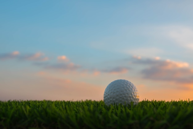 Golf ball on grass