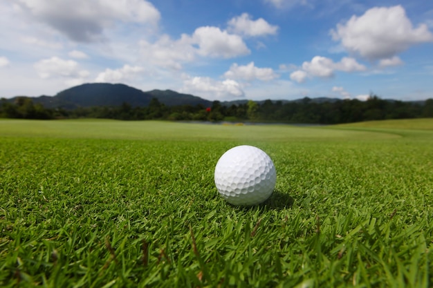 Golf ball on green course grass close up and the flag