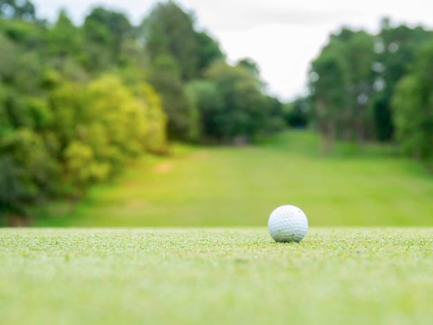 Golf ball on green in golf course