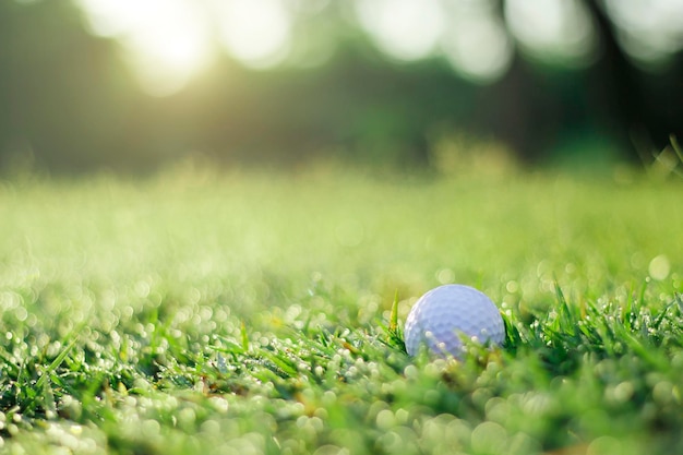 Golf ball is on a green lawn in a beautiful golf course