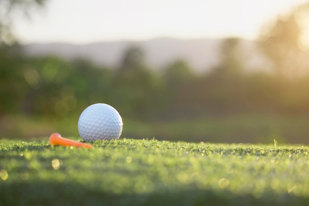 Golf ball is on a green lawn in a beautiful golf course