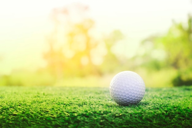 Golf ball is on a green lawn in a beautiful golf course