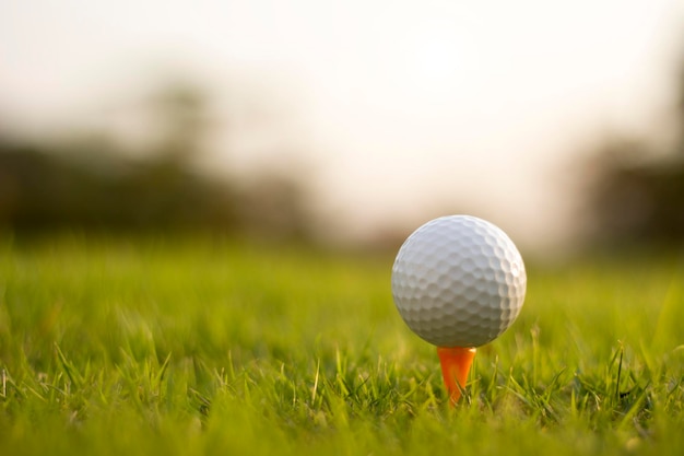 Golf ball on tee in a beautiful golf course with morning sunshine