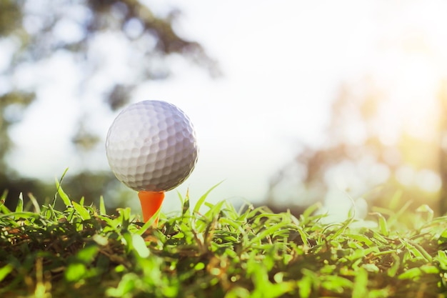 Golf ball on tee in a beautiful golf course with morning sunshine