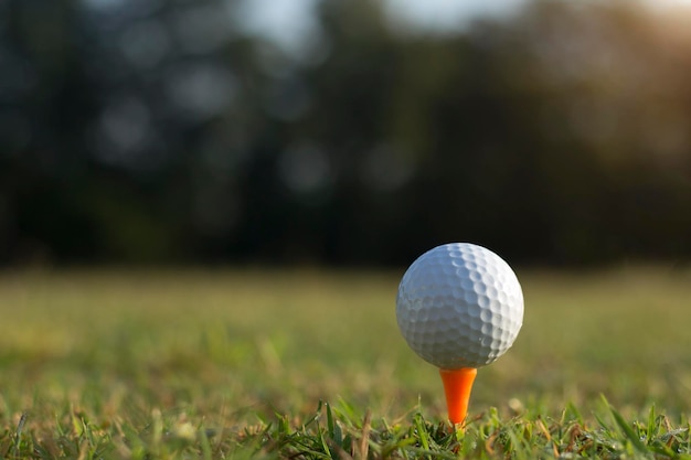 Golf ball on tee in a beautiful golf course with morning sunshine