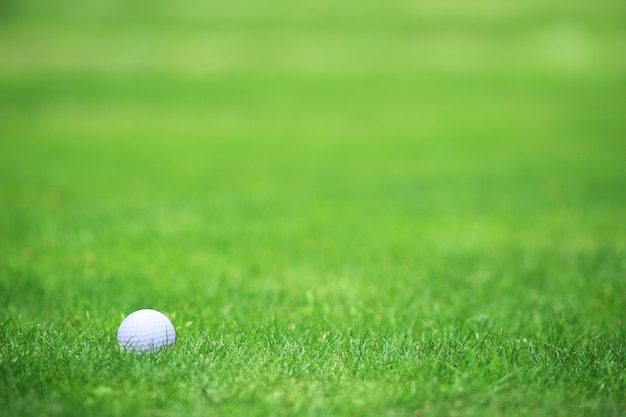 Golf ball on tee on green grass of golf course