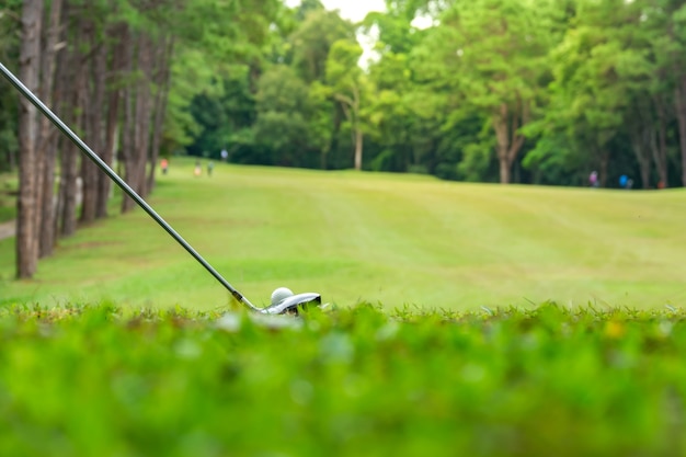 Golf ball on tee in tee off zone in golf course 