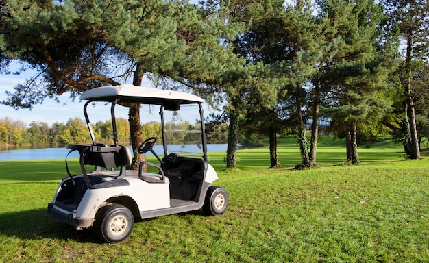 Golf carts on a golf course