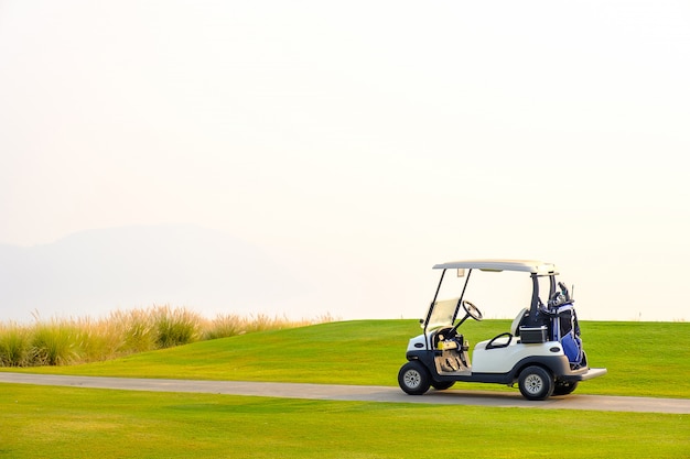 Golf carts on green yard