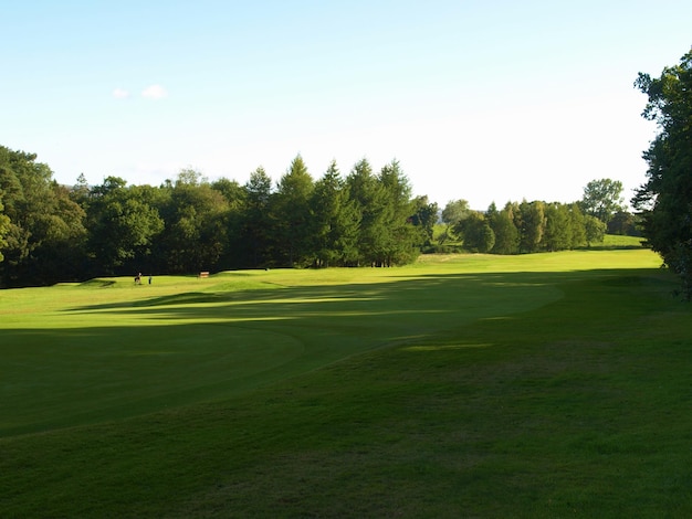 Golf course green