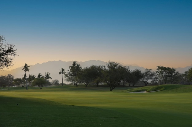 Golf course in the morning