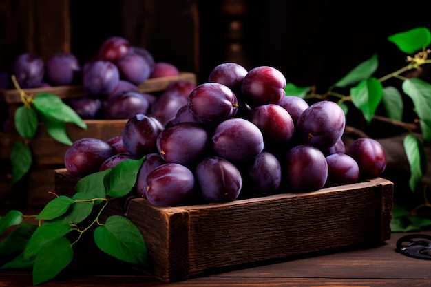 A good harvest of plums Cultivation of plums Farm and field Harvested agricultural crops